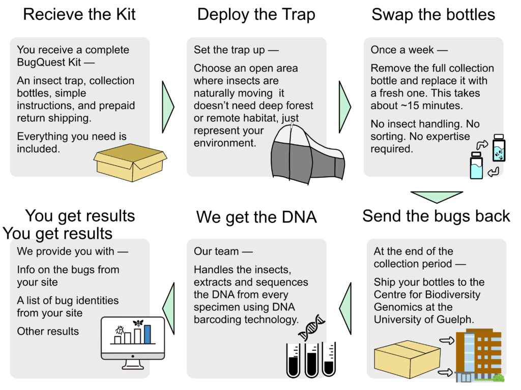 flow diagram 2