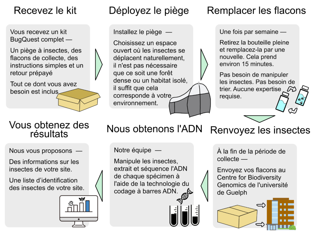 flow diagram 2 french