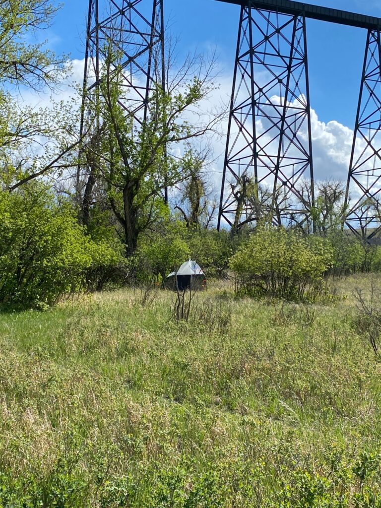 QuestHub helen schuler nature centre bqkit 1079 bq trap site location