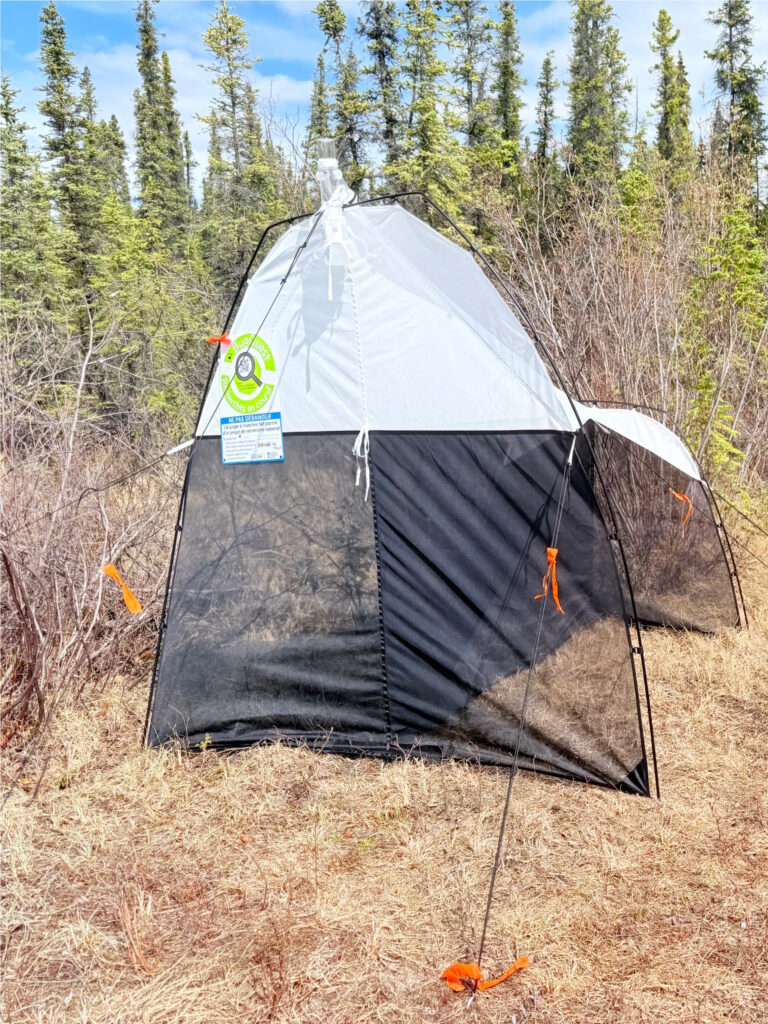 QuestHub ibex valley trap 1, lakeside