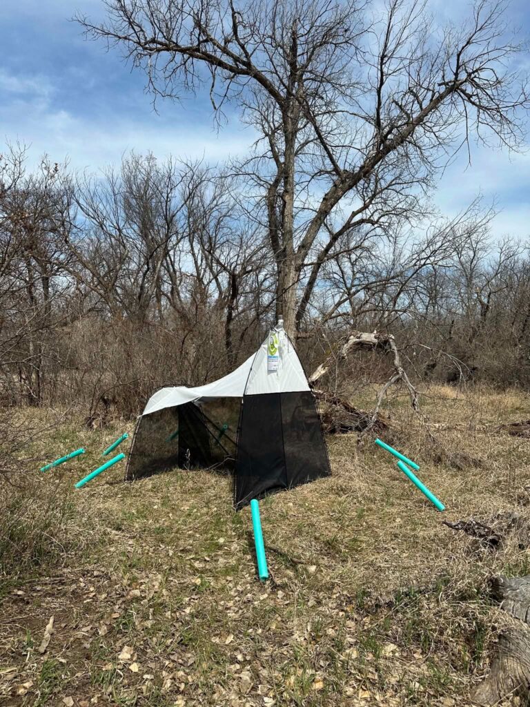 QuestHub moose jaw wooded area bqkit 1099 wooded valley.jpg