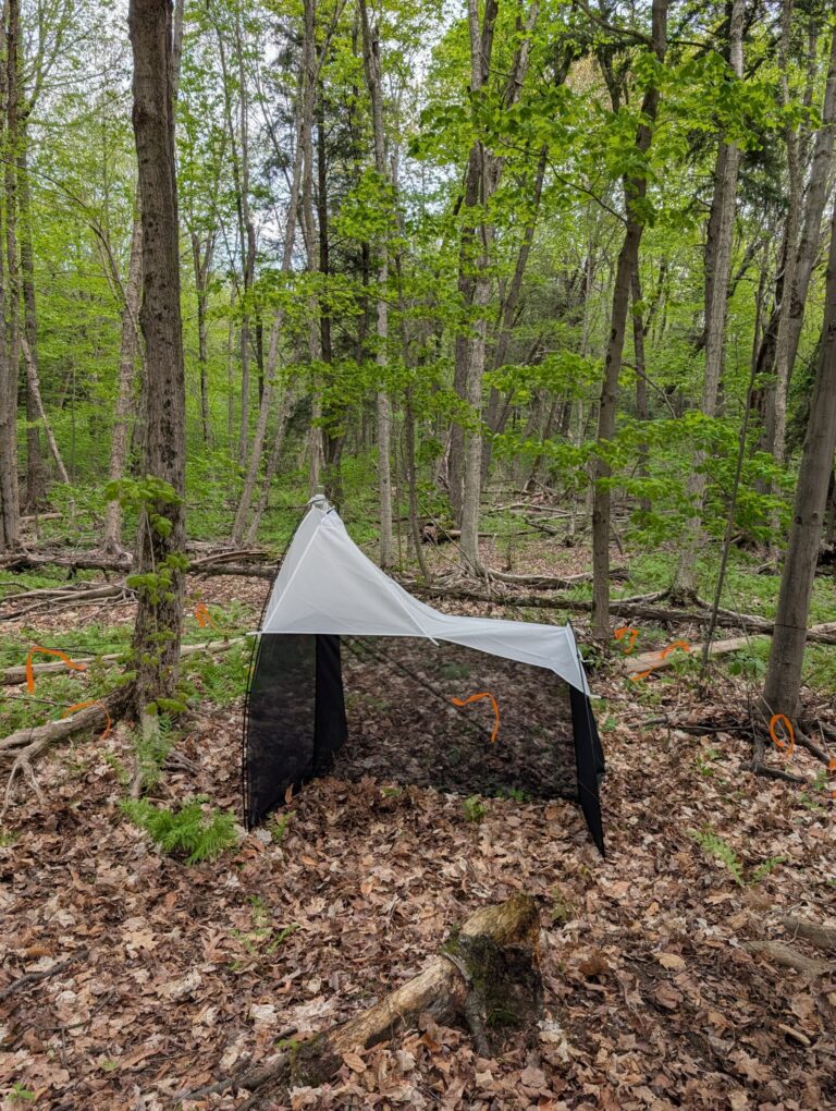QuestHub nhc site1 mixed forest clearing bqkit 1122 nhc site1 mixedforestclearing scaled.jpg