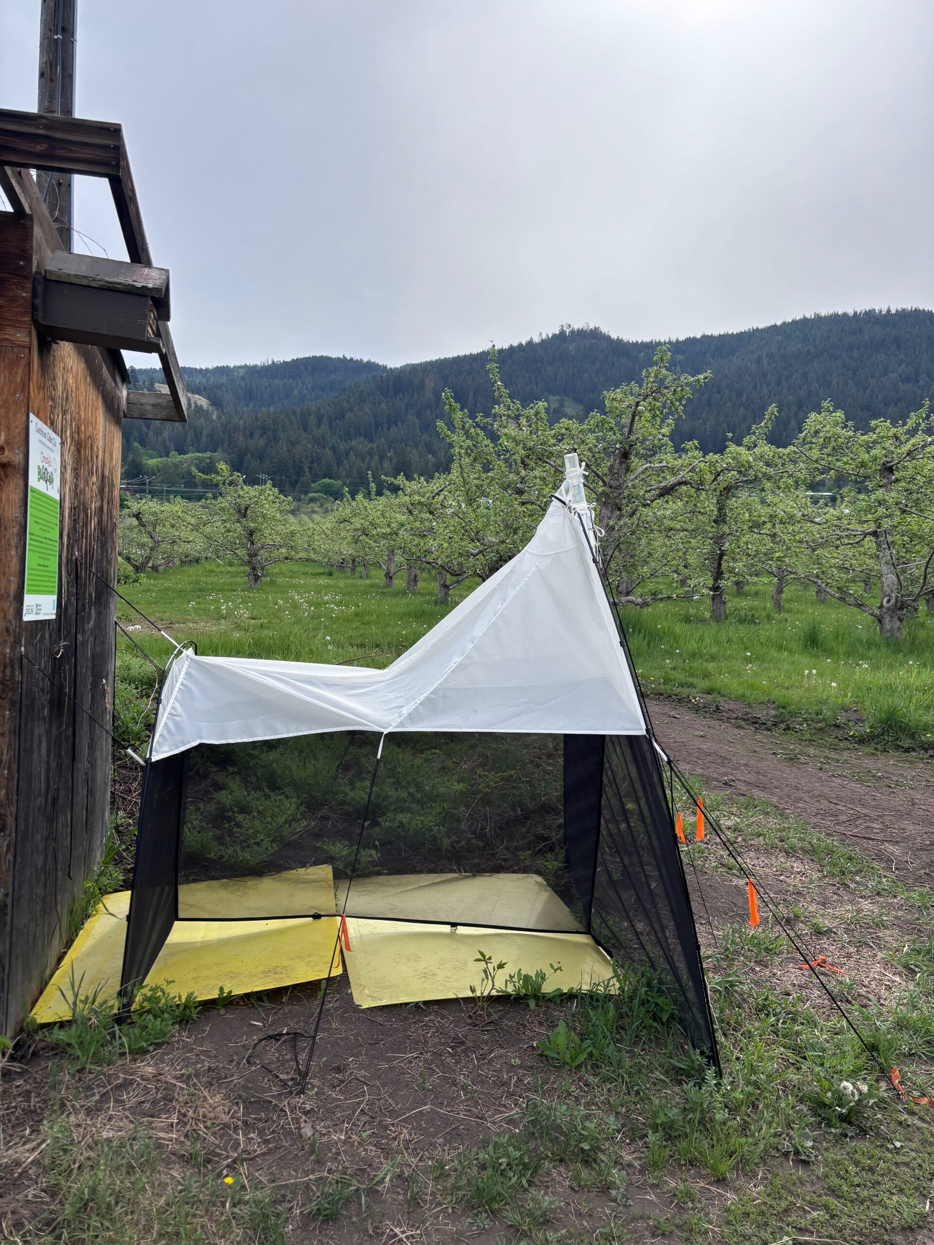 Cambium-Cider-Co_BQKIT-1019_BugQuest-scaled.jpg