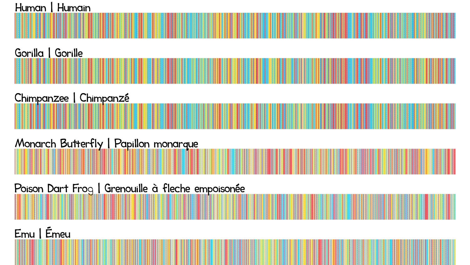 DNA Barcodes Scaled ENG FR V3 CAS Small