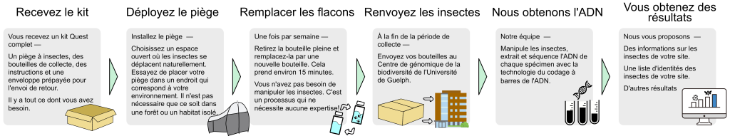 Flow Diagram Long French V2 CAS 1 1024x191