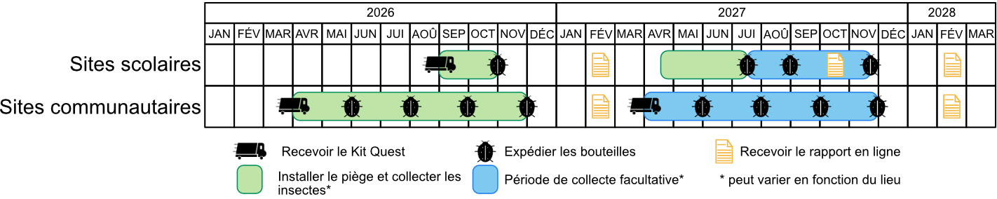 Timelines French