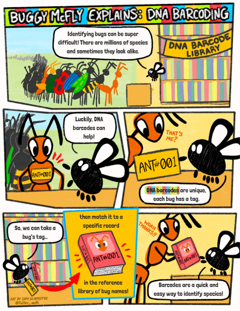 ants in the library final.pdf