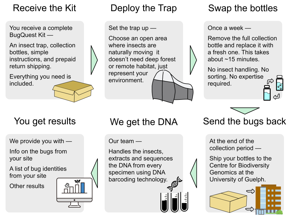 flow diagram 2